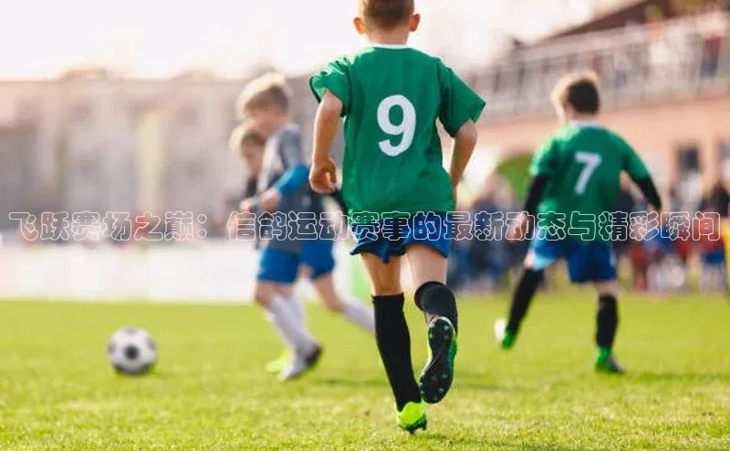 j9九游会国际站官方网站