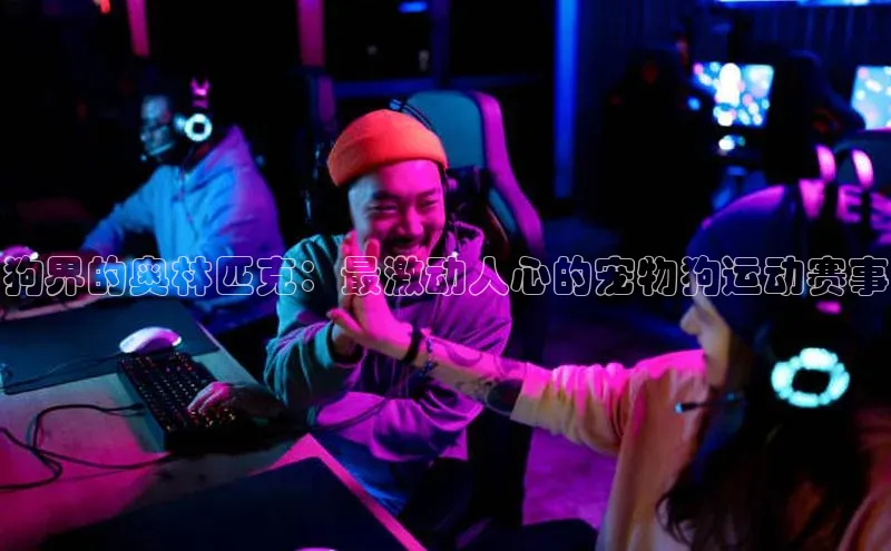 九游会ag老哥俱乐部入口