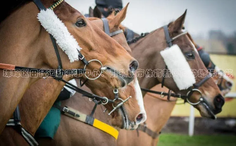 j9九游真人游戏第一品牌登录入口